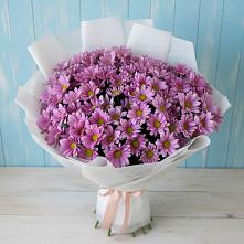 Букет цветов из:  Хризантемы #REPLACE_PRED# Беловское