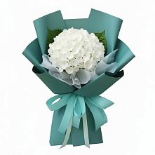 Букет цветов из:  Гортензия в Беловское